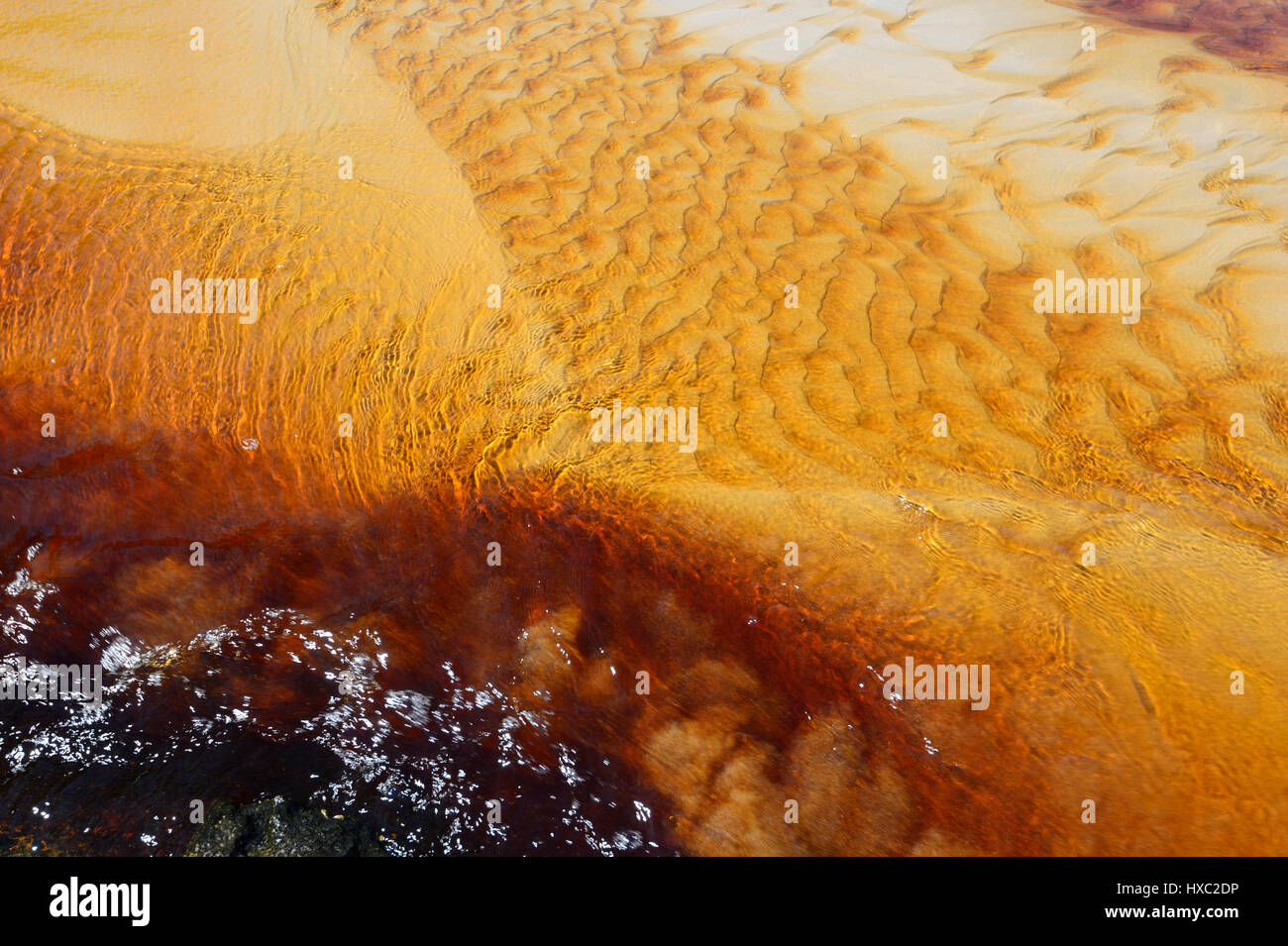 Muster in einem Tannin gebeizte Bach fließt über weißen Sand in Abrahams Schoß Reserve, Currarong, Jervis Bay, Shoalhaven, New-South.Wales, Australien Stockfoto