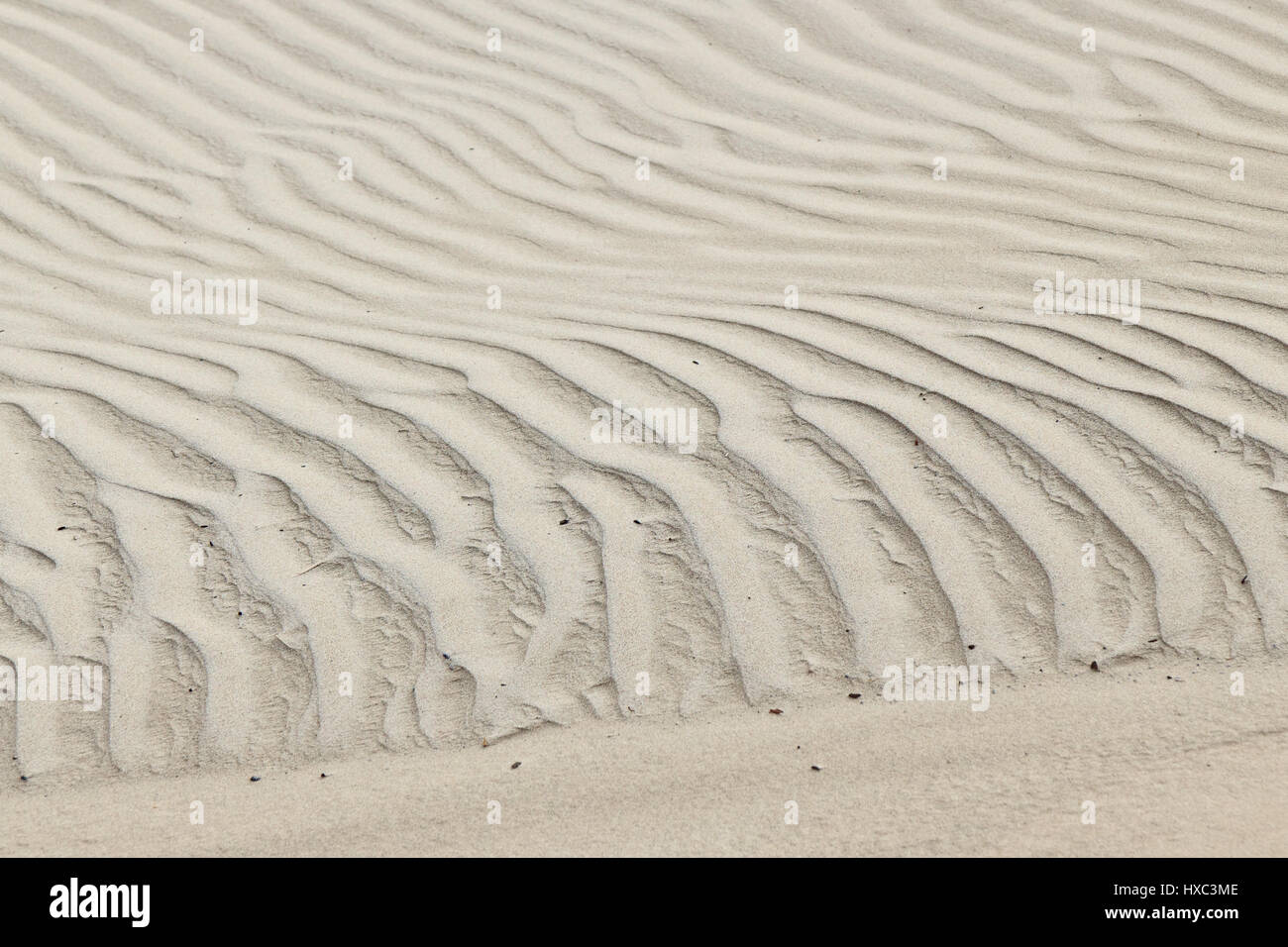 Hintergrund der sandigen Dünen, Lettland, Liepaja Stockfoto