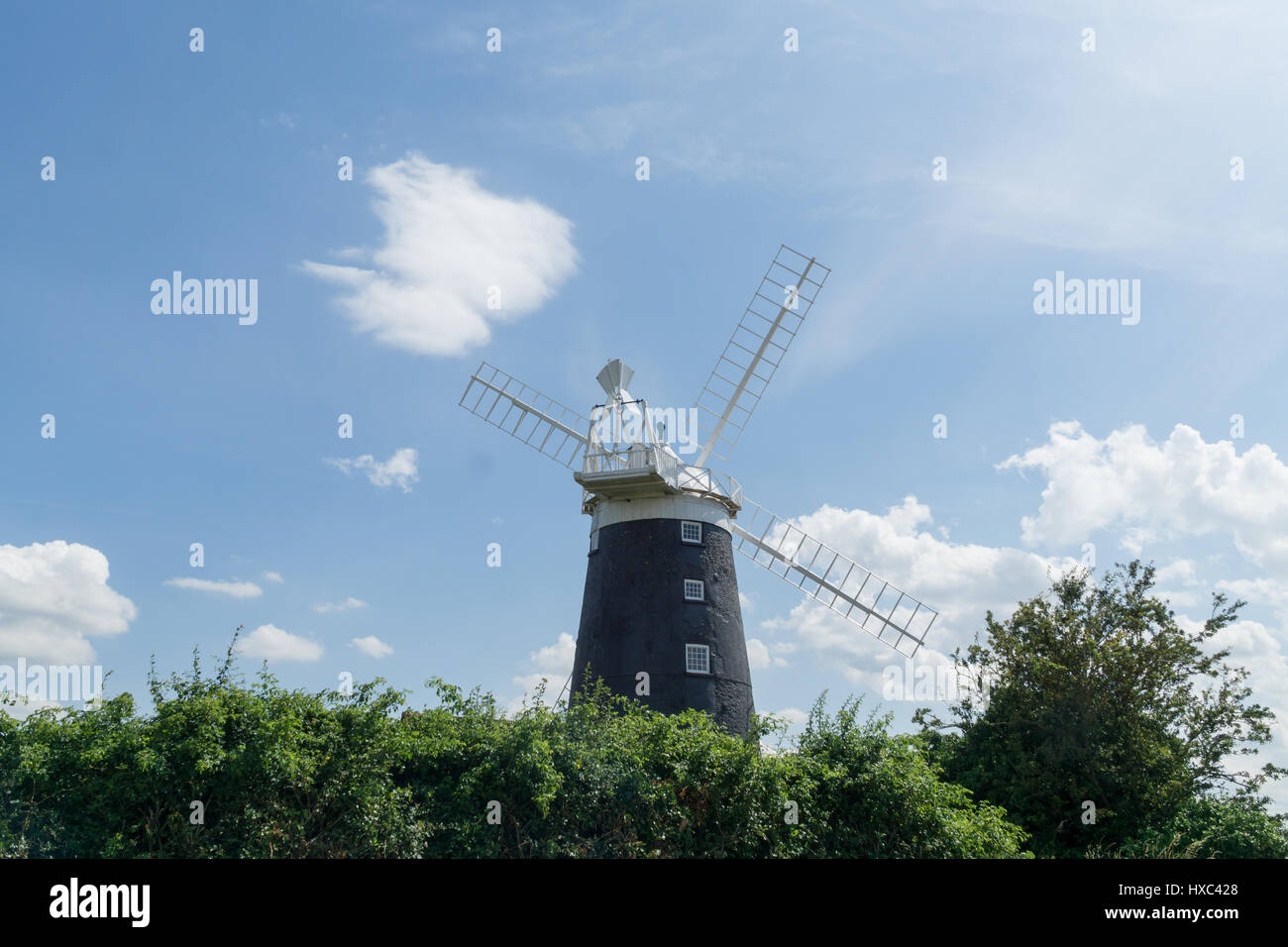 Windmühle in Norfolk, Sommer UK. Stockfoto