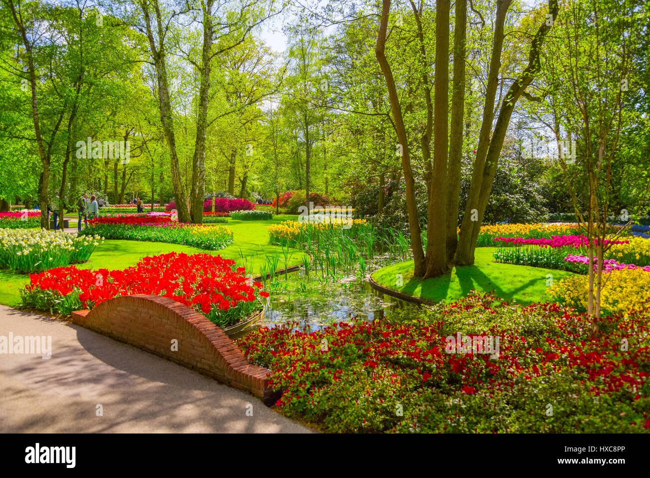 Bunte Tulpen im Keukenhof Park, Holland Stockfoto