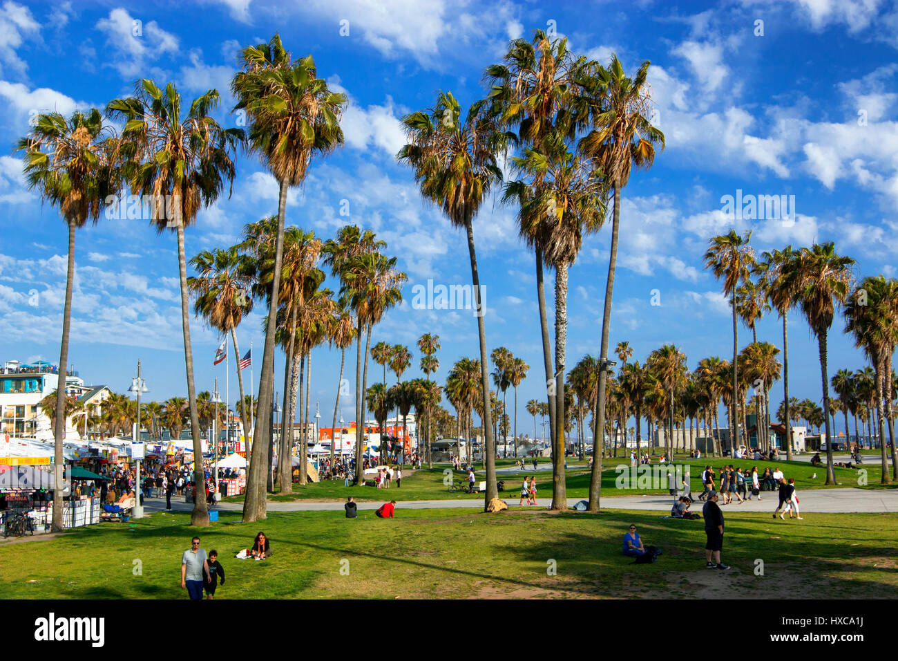 Venice Beach in Los Angeles Stockfoto