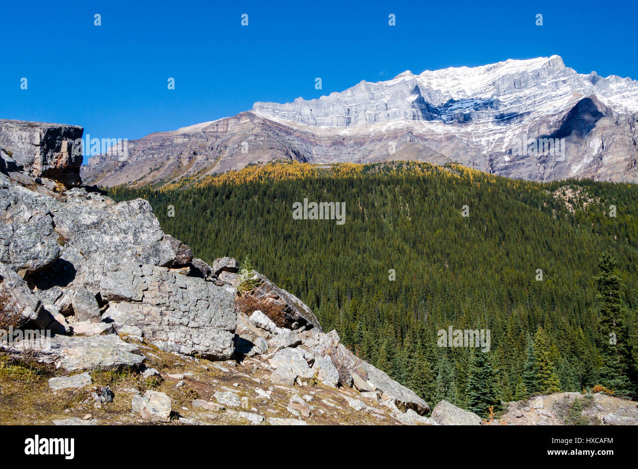 Ein Gebiet das Tal der zehn Gipfel am Moraine Lake, Banff Nationalpark, Alberta, Kanada. Stockfoto
