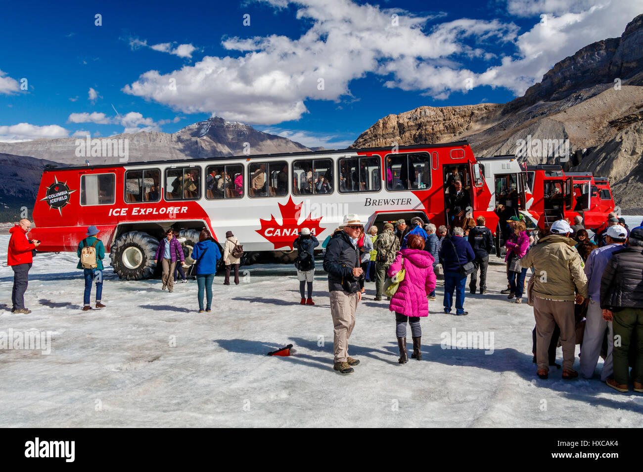 Columbia Icefield Athabasca-Gletscher, Jasper Nationalpark, Kanada. Stockfoto