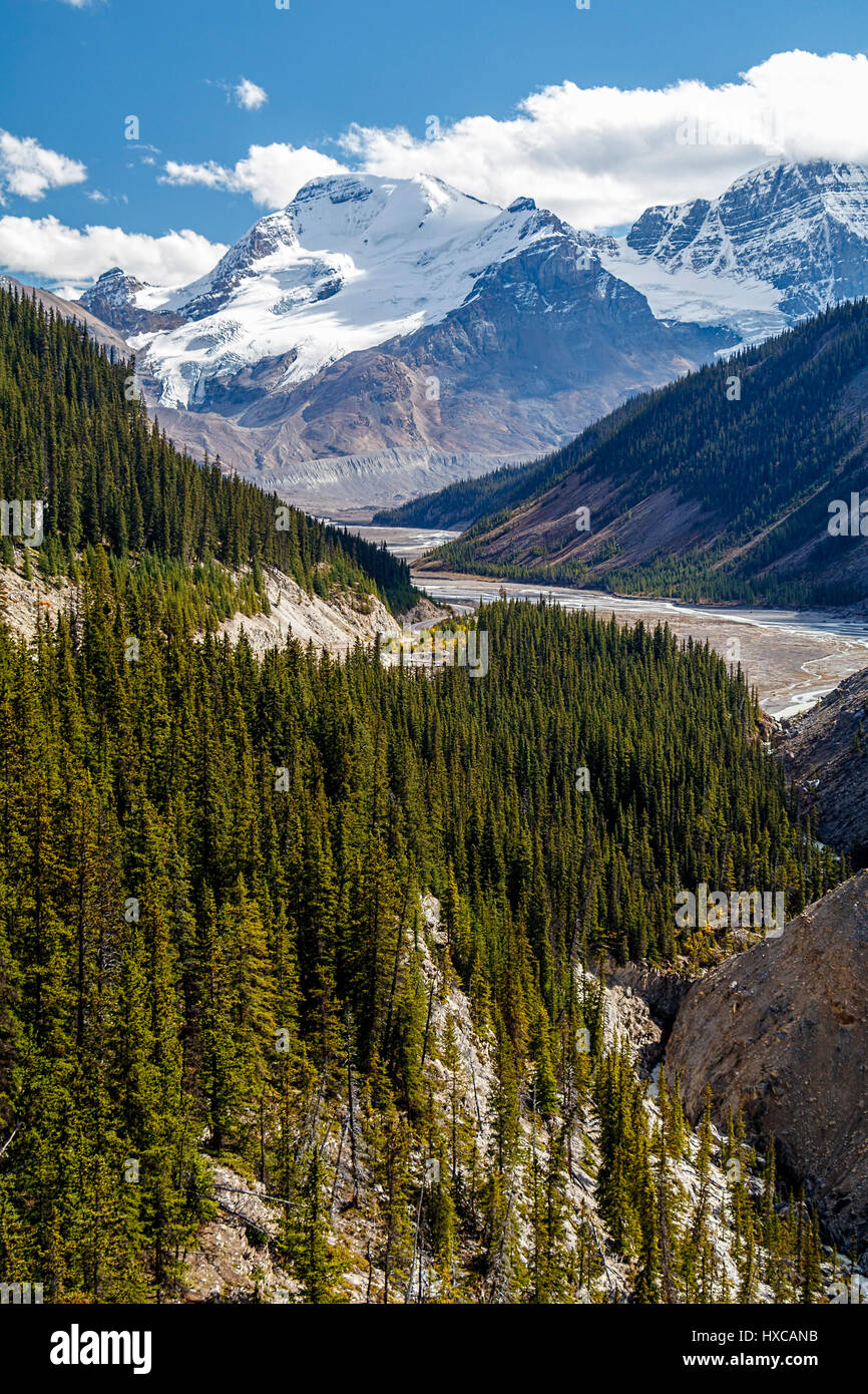 Blick aus dem Gletscher Skywalk, Jasper Nationalpark, Alberta, Kanada. Stockfoto