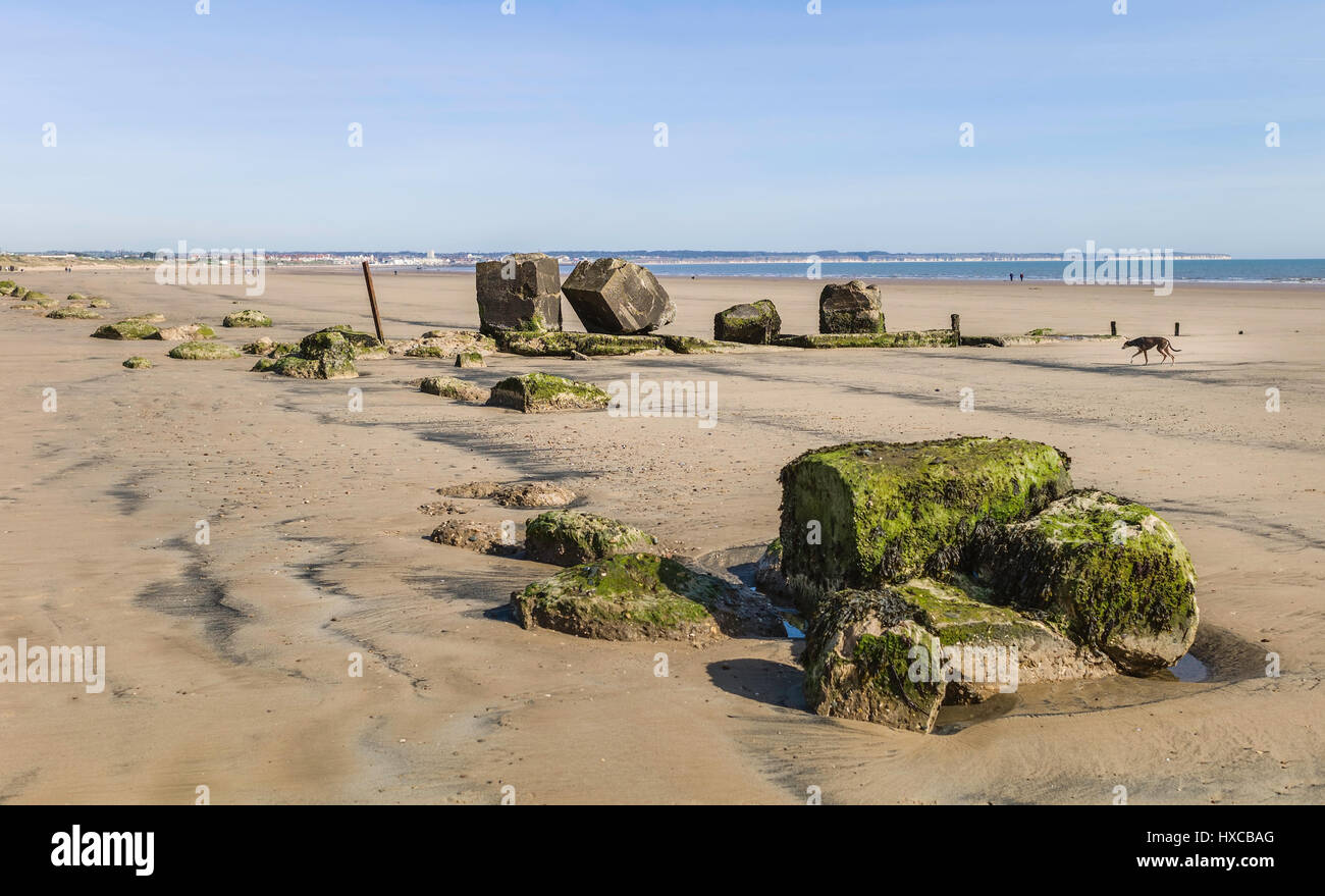 Alten Meer Verteidigungsanlagen entlang der sandigen Strand bei Ebbe an einem feinen Frühlingsmorgen an Fraisthorpe, Bridlington, Yorkshire, Großbritannien. Stockfoto