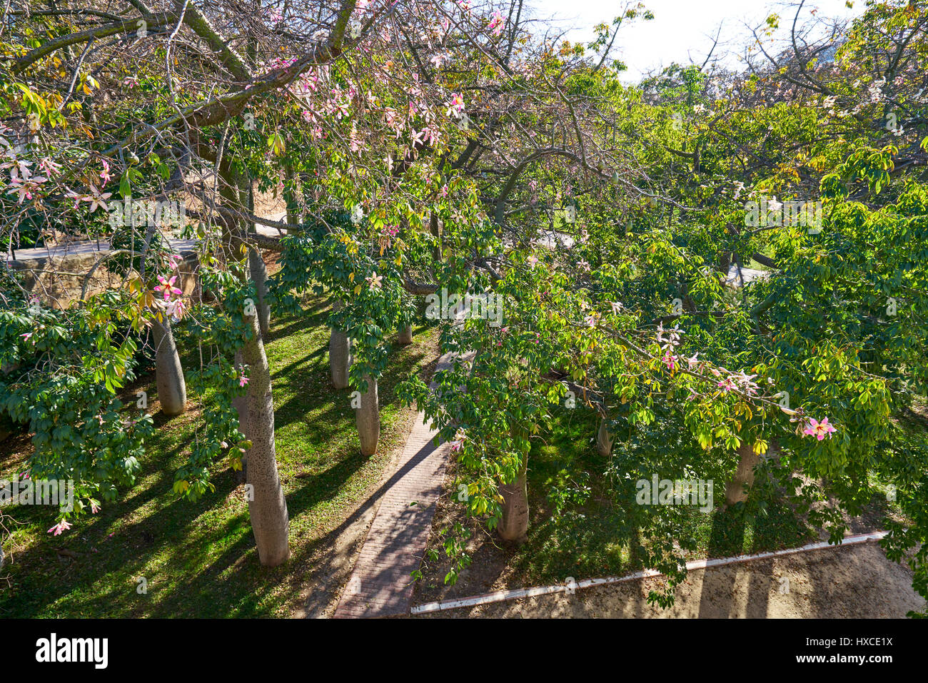 Valencia Turia Park Garten Blick auf Spanien Stockfoto