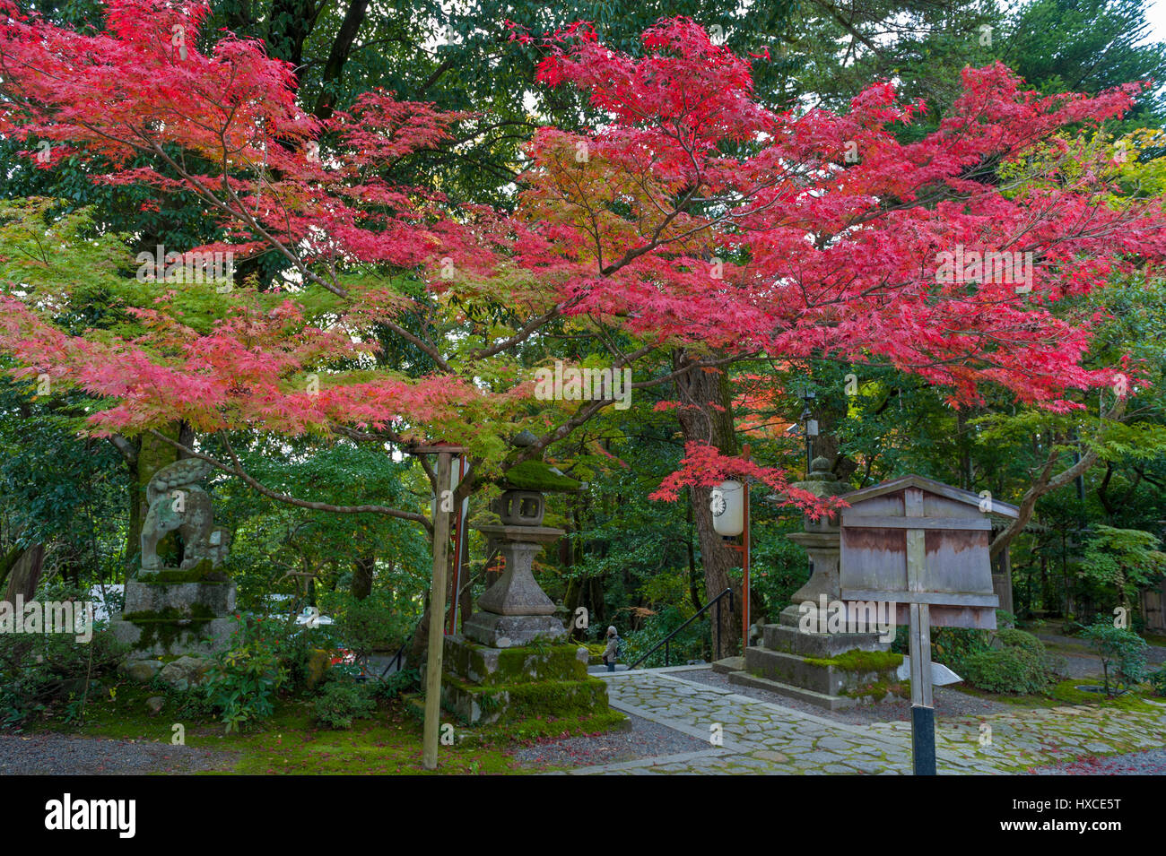 Kyoto, Japan - November 2016: Sekizan Zen, japanische Tempel in Kyoto im Herbst Stockfoto