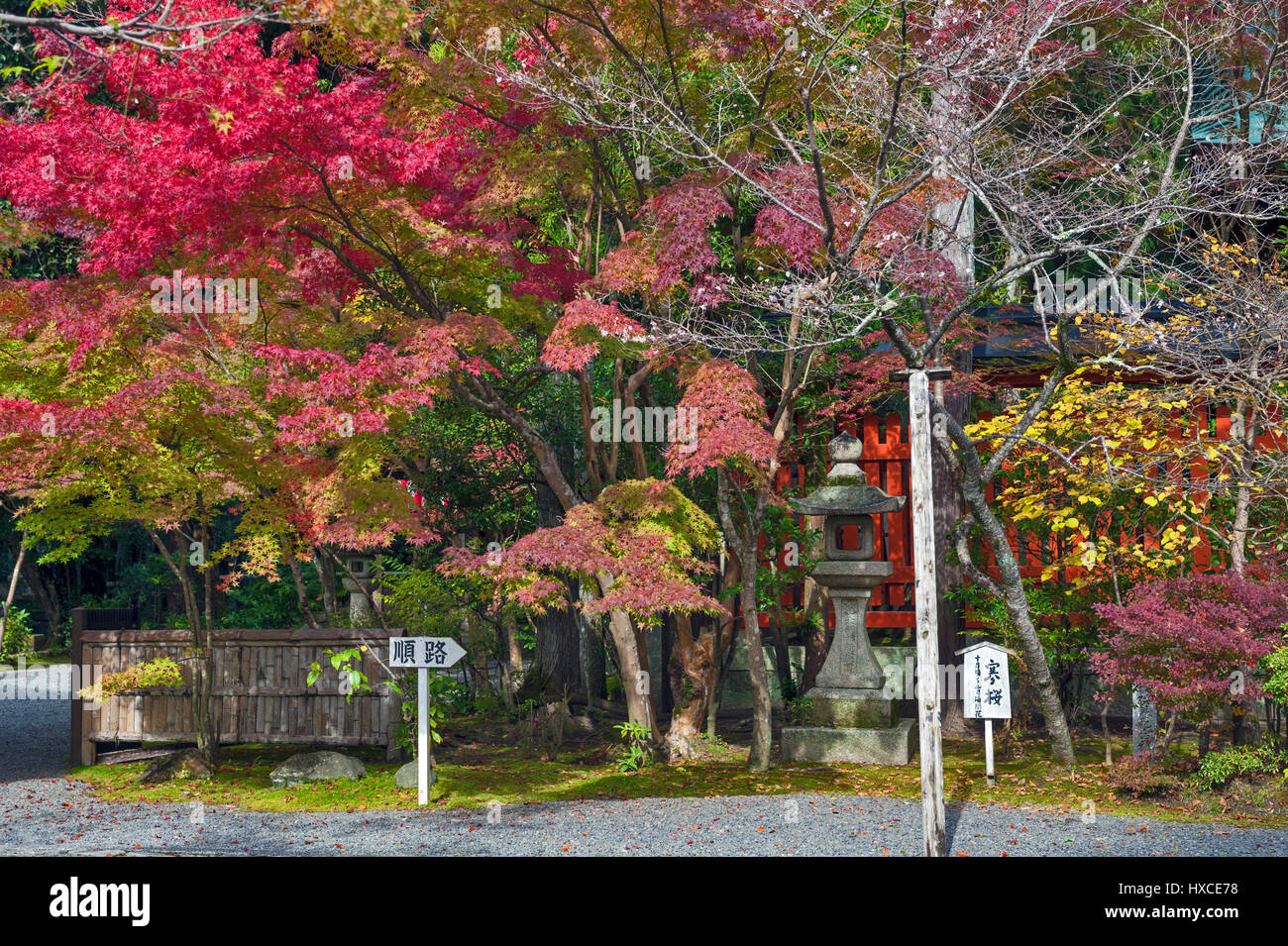 Kyoto, Japan - November 2016: Sekizan Zen, japanische Tempel in Kyoto im Herbst Stockfoto