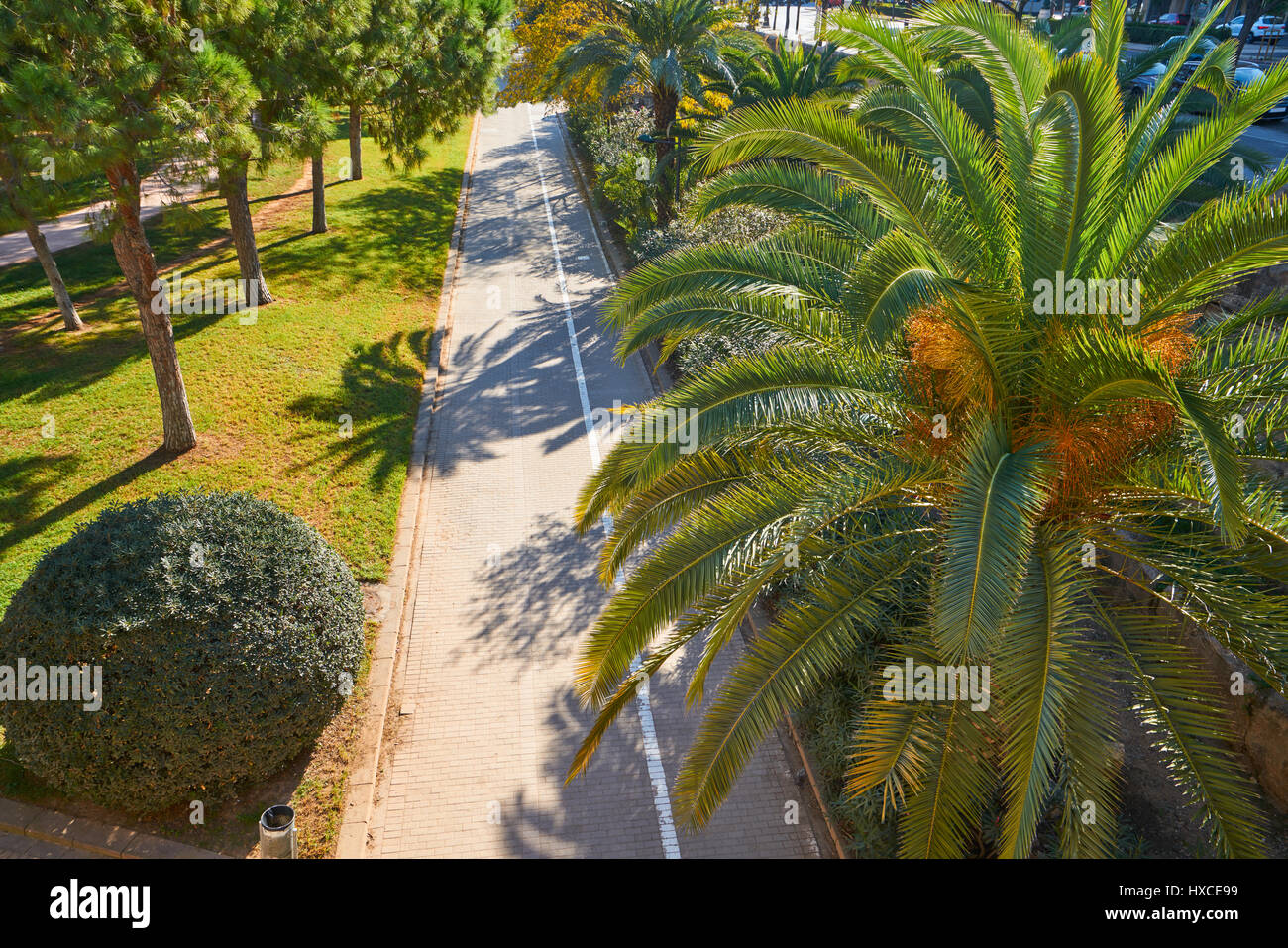 Valencia Turia Park Gärten Luftbild in Spanien Stockfoto