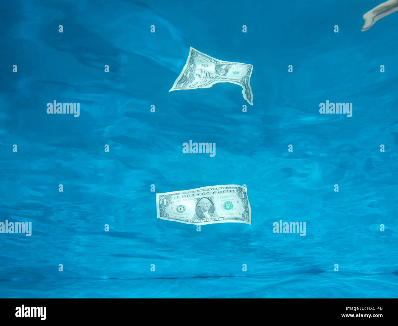Amerikanische Dollar-Note, im Wasser mit Reflexion Stockfoto