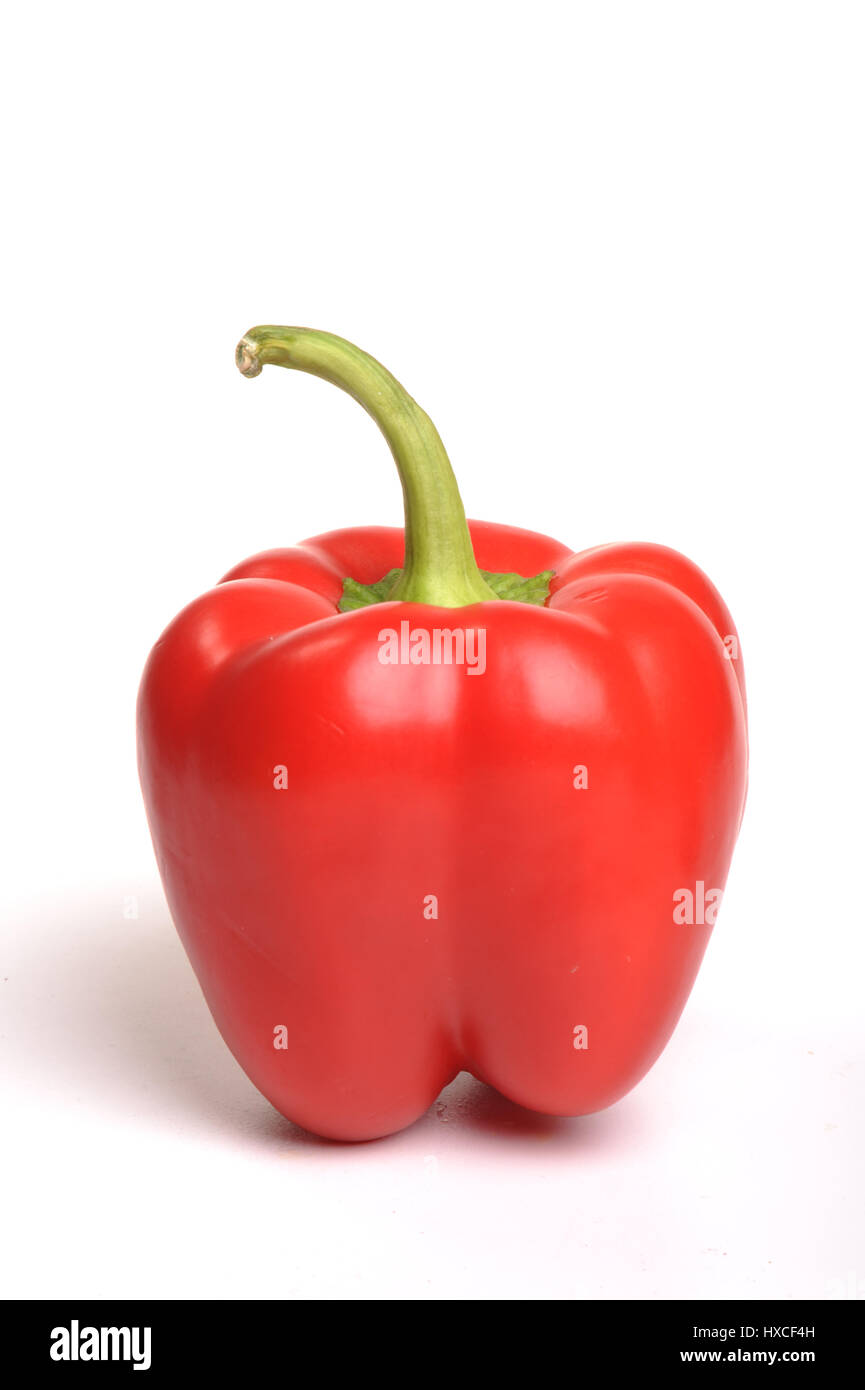 Paprika, die isoliert auf weißem Hintergrund Stockfoto