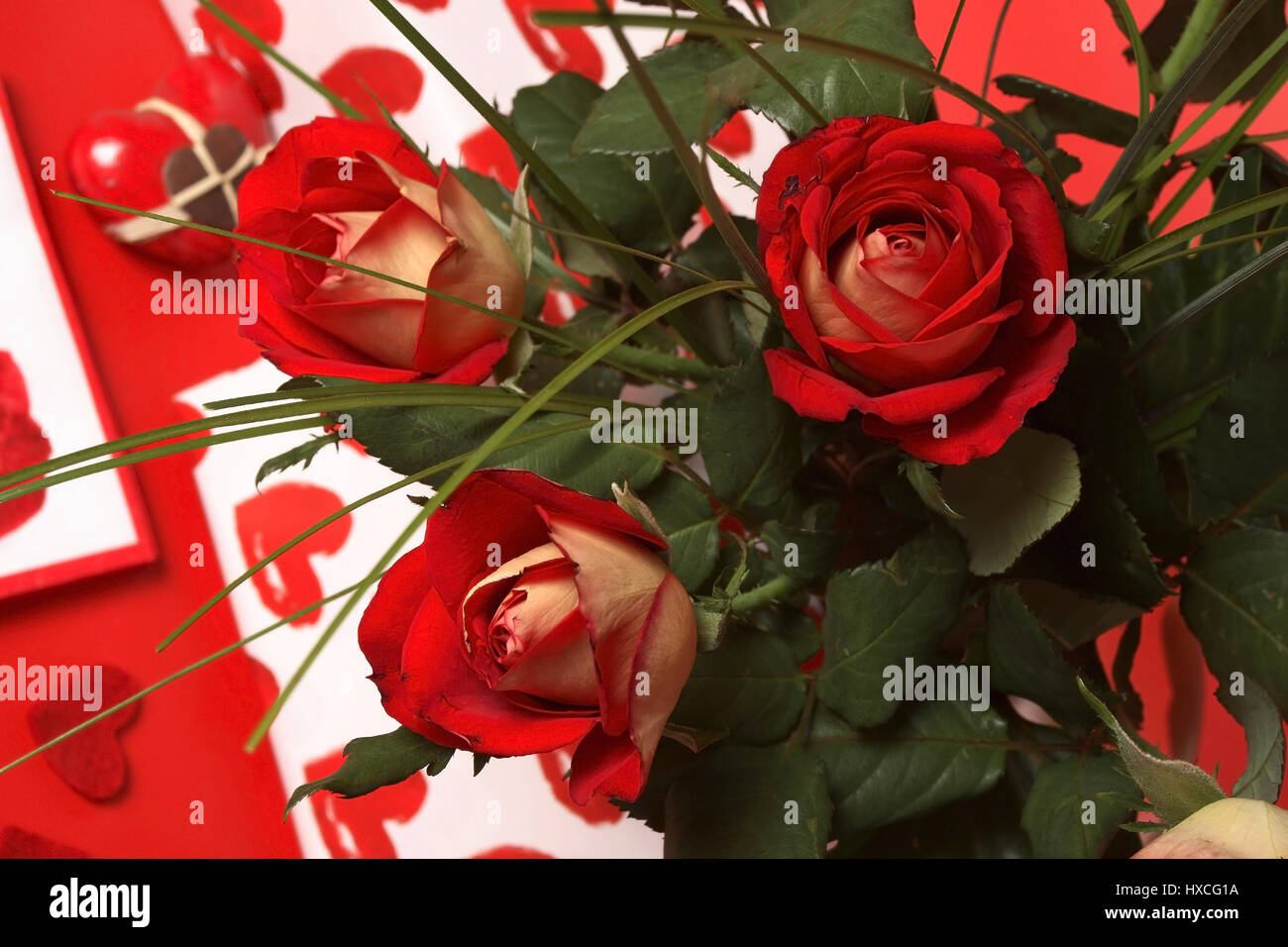 Rote Rosen, Rote Rosen Stockfoto