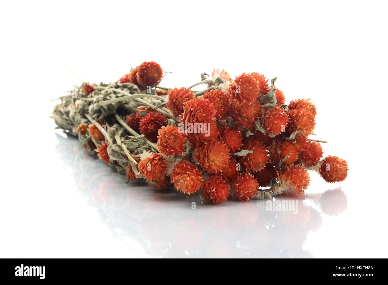 Getrocknete Bouquet, Vertrockneter Blumenstrauss Stockfoto