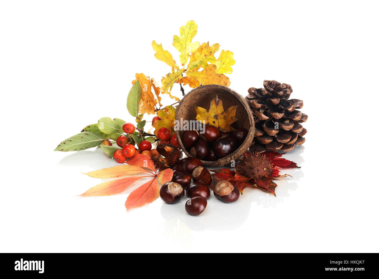 Dekorative Äpfel, Kastanien, Tannenzapfen und Laub, Zier‰pfel, Kastanien, Tannenzapfen Und Laub Stockfoto