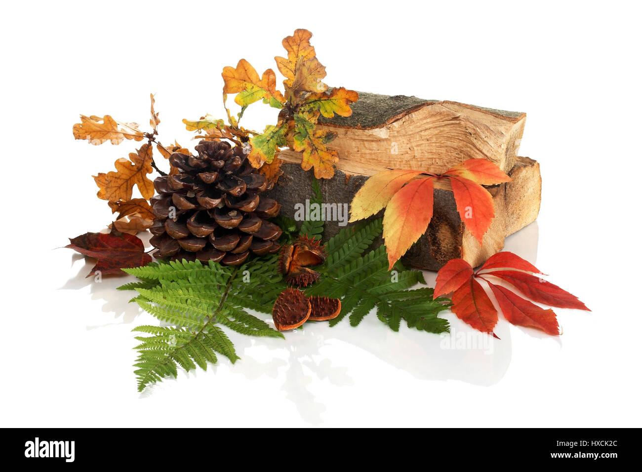 Tannenzapfen, Blätter und Holz, Tannenzapfen, Laub Und Brennholz Stockfoto