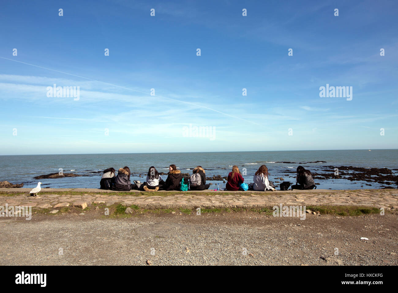 Eine Gruppe von Touristen saßen Blick auf das Meer in Howth Head, Stadt Dublin, Irland Stockfoto