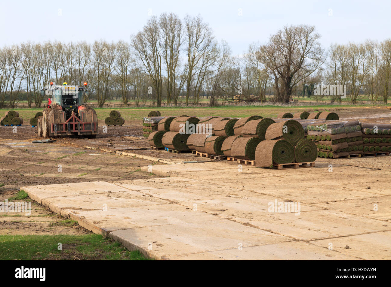 Gewerbliche Produktionsrollen von Rasengrasfeldern, kent, großbritannien Stockfoto