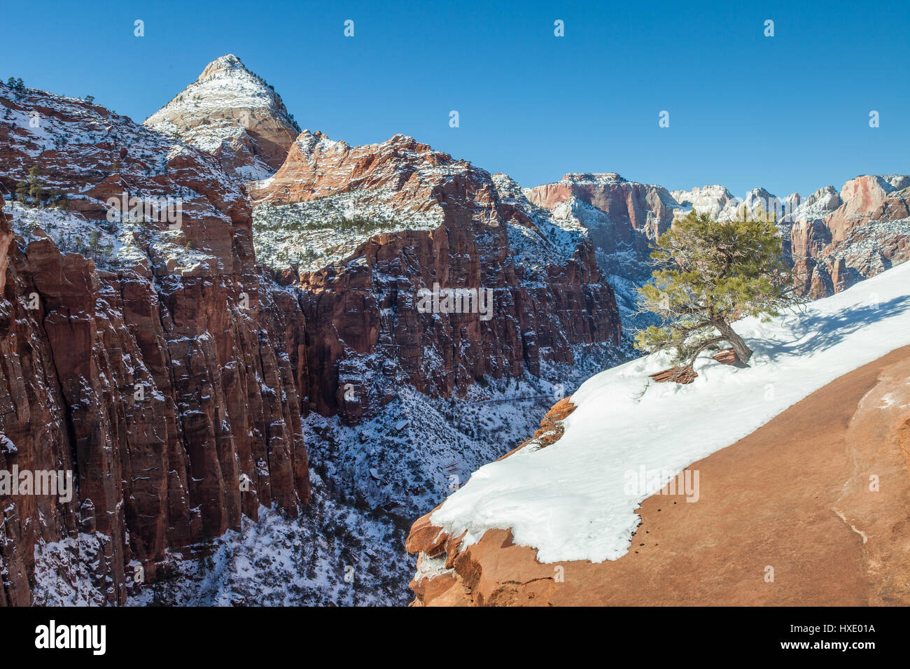 Winterschnee im Zion Nationalpark, Utah Stockfoto