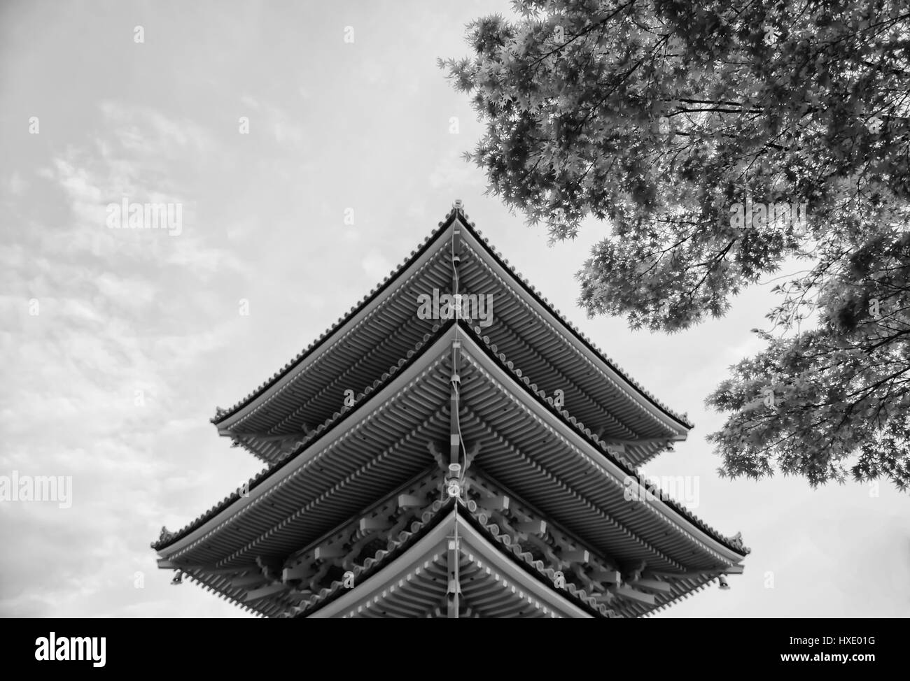 Schöne Architektur im Kiyomizu-Dera Tempel Kyoto, Japan (schwarz und weiß). Stockfoto