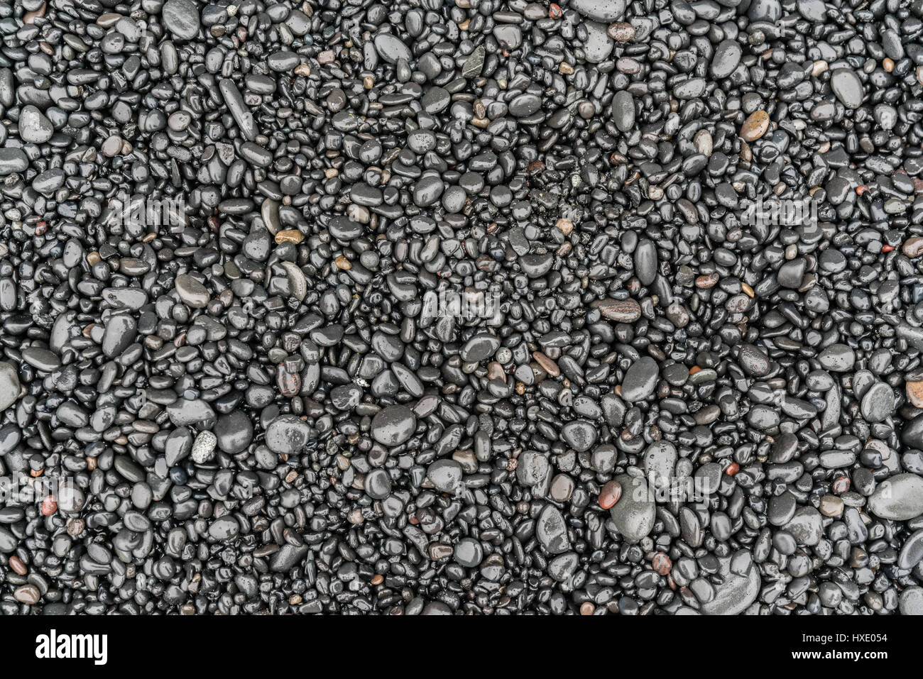 Nassen Stein am schwarzen Sandstrand in Island Stockfoto