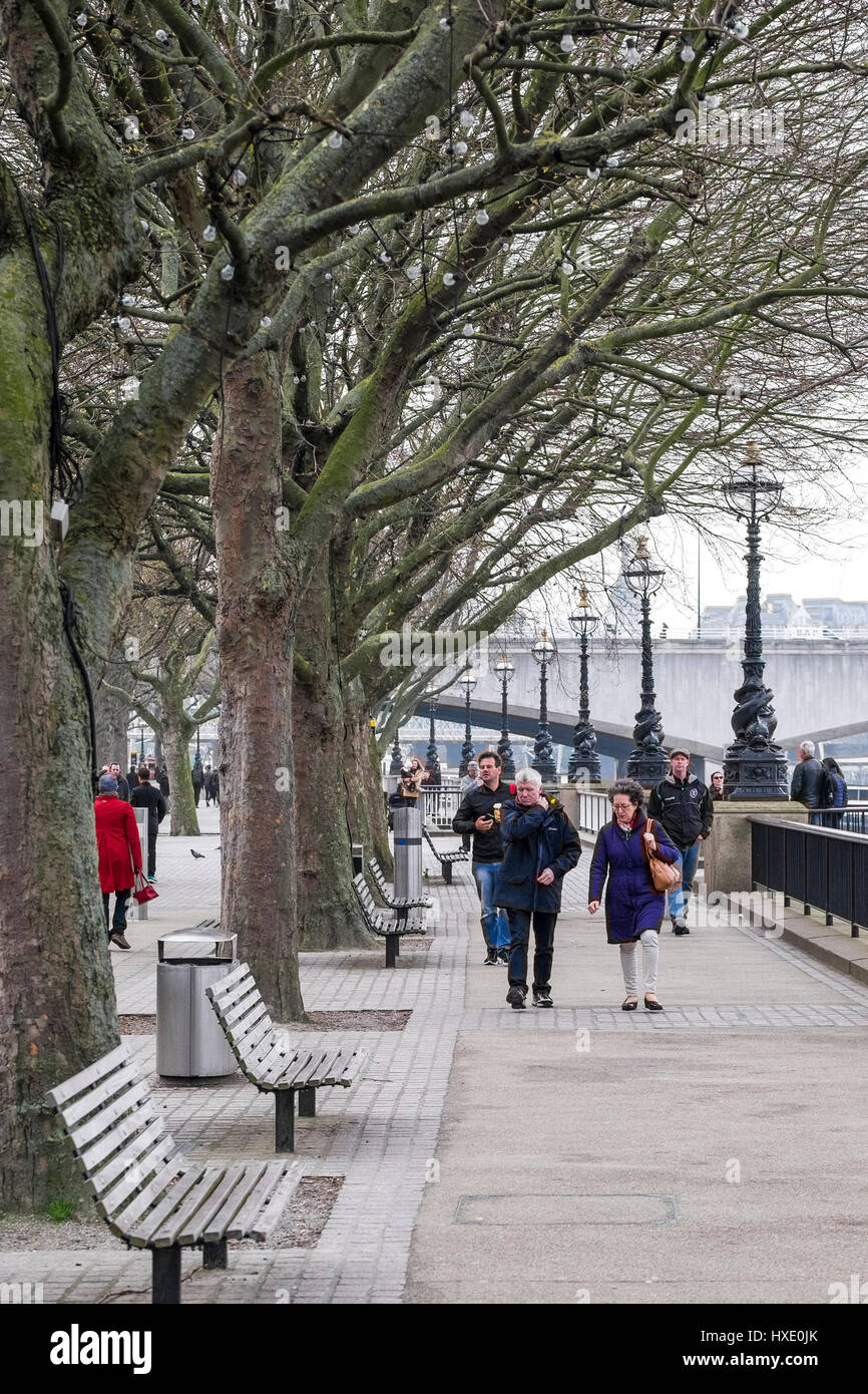 South Bank Southbank London Bäume Menschen spazieren gehen Stockfoto