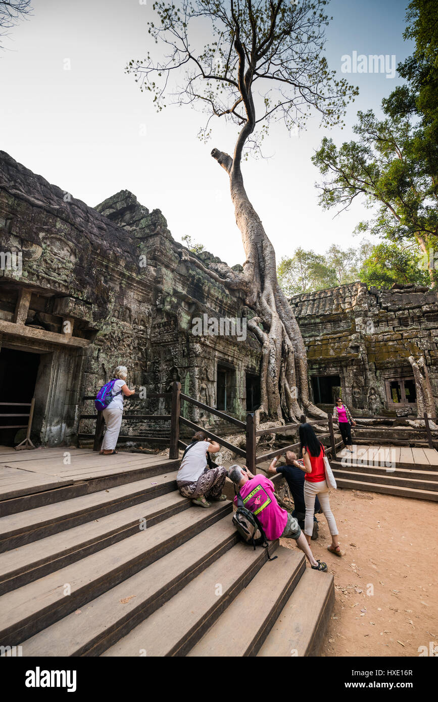 Touristen in den Ruinen der Tempel Ta Prohm, Angkor, Kambodscha, Asien Stockfoto