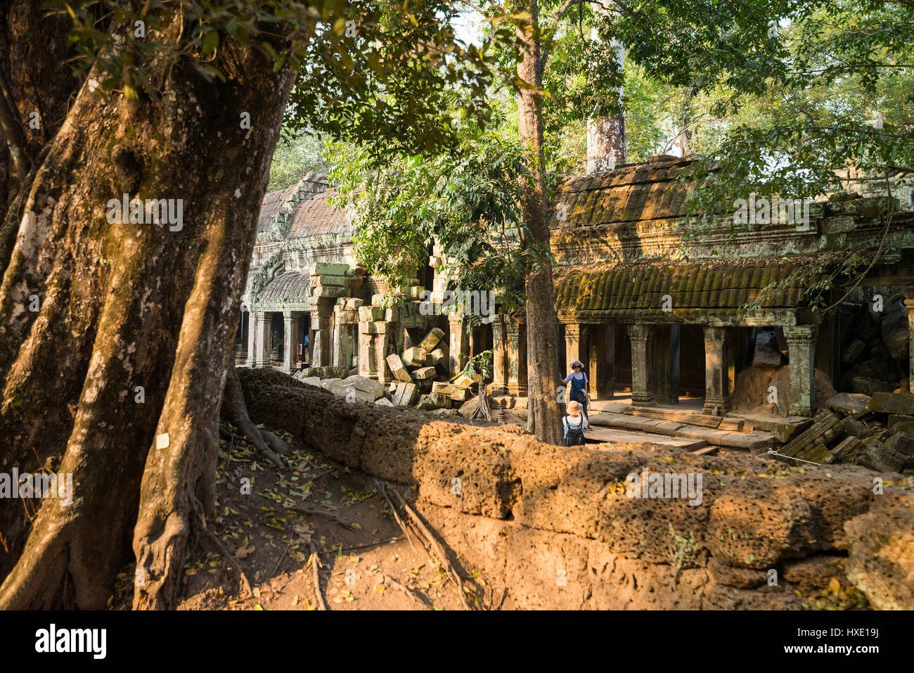 Touristen in den Ruinen der Tempel Ta Prohm, Angkor, Kambodscha, Asien Stockfoto