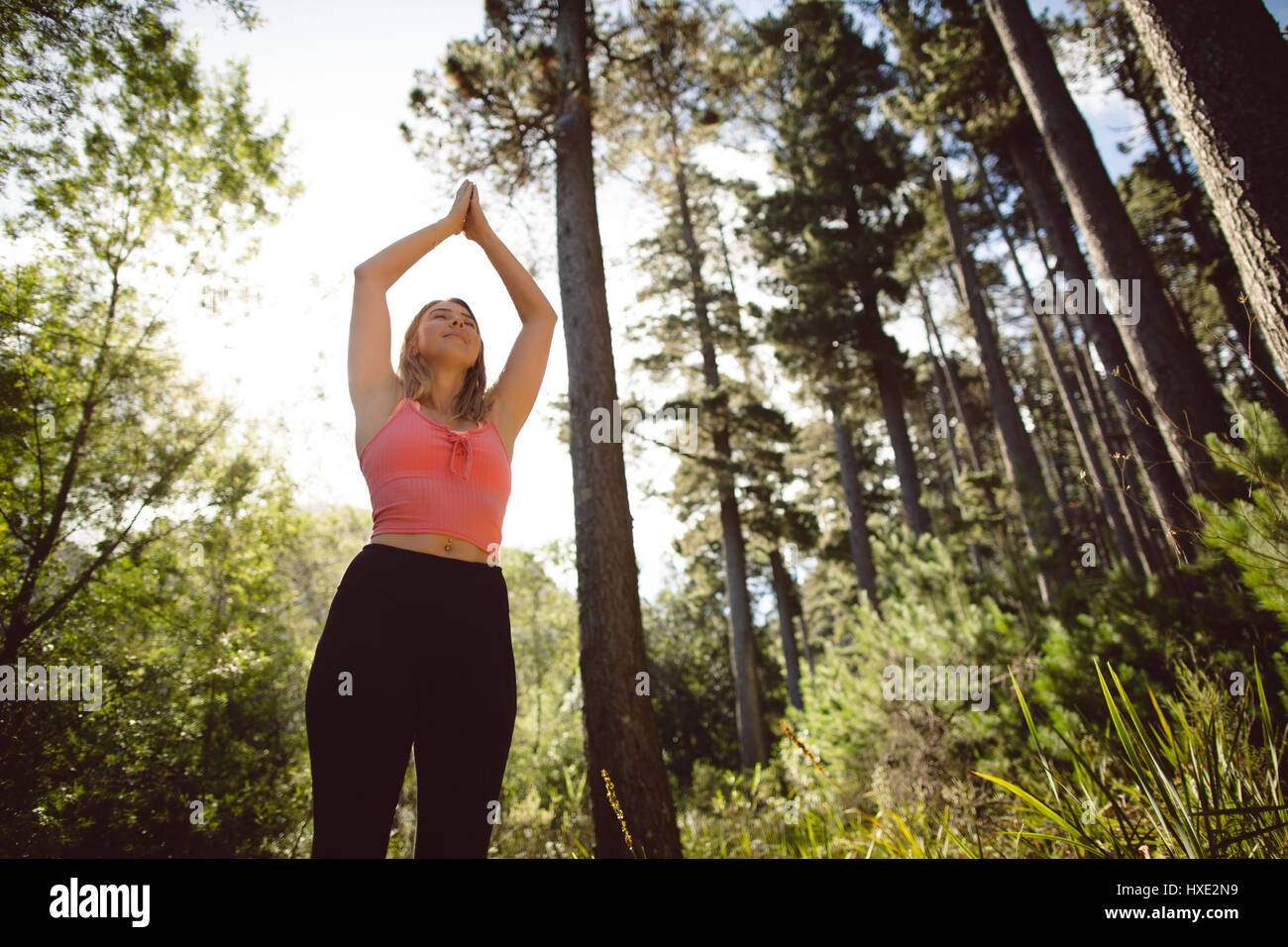 Schöne Frau, die Durchführung von Yoga im Wald Stockfoto