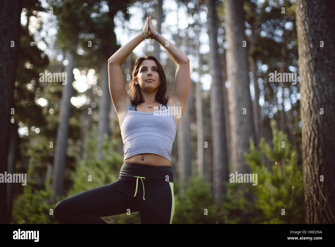 Schöne Frau, die Durchführung von Yoga im Wald Stockfoto