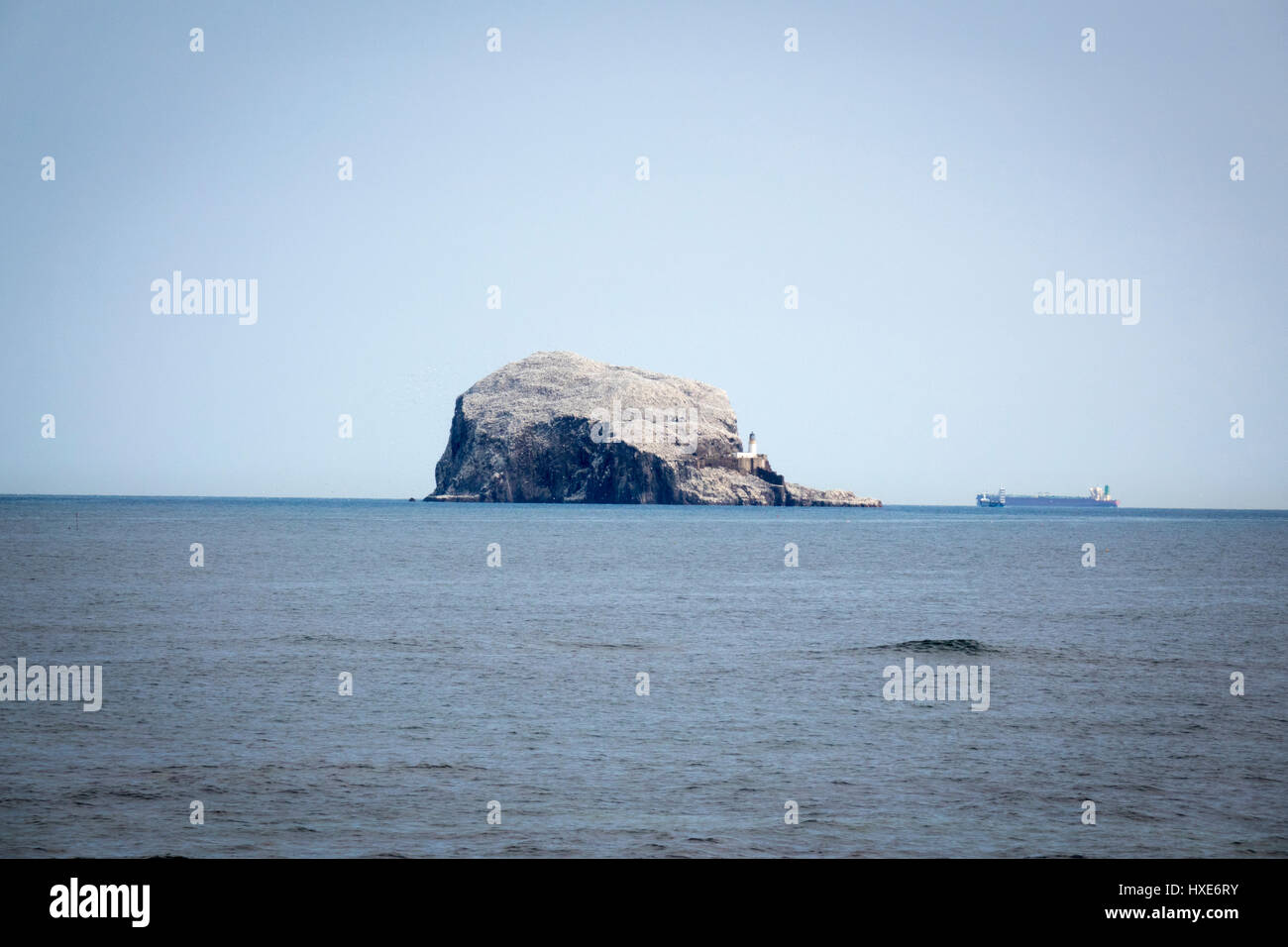 Bass Rock, East Lothian, Schottland Stockfoto