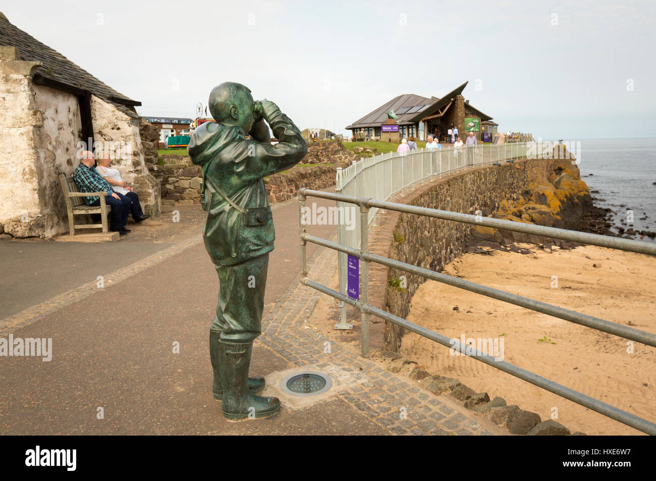 "The Watcher" im schottischen Seabird Centre, North Berwick, Scotland Stockfoto