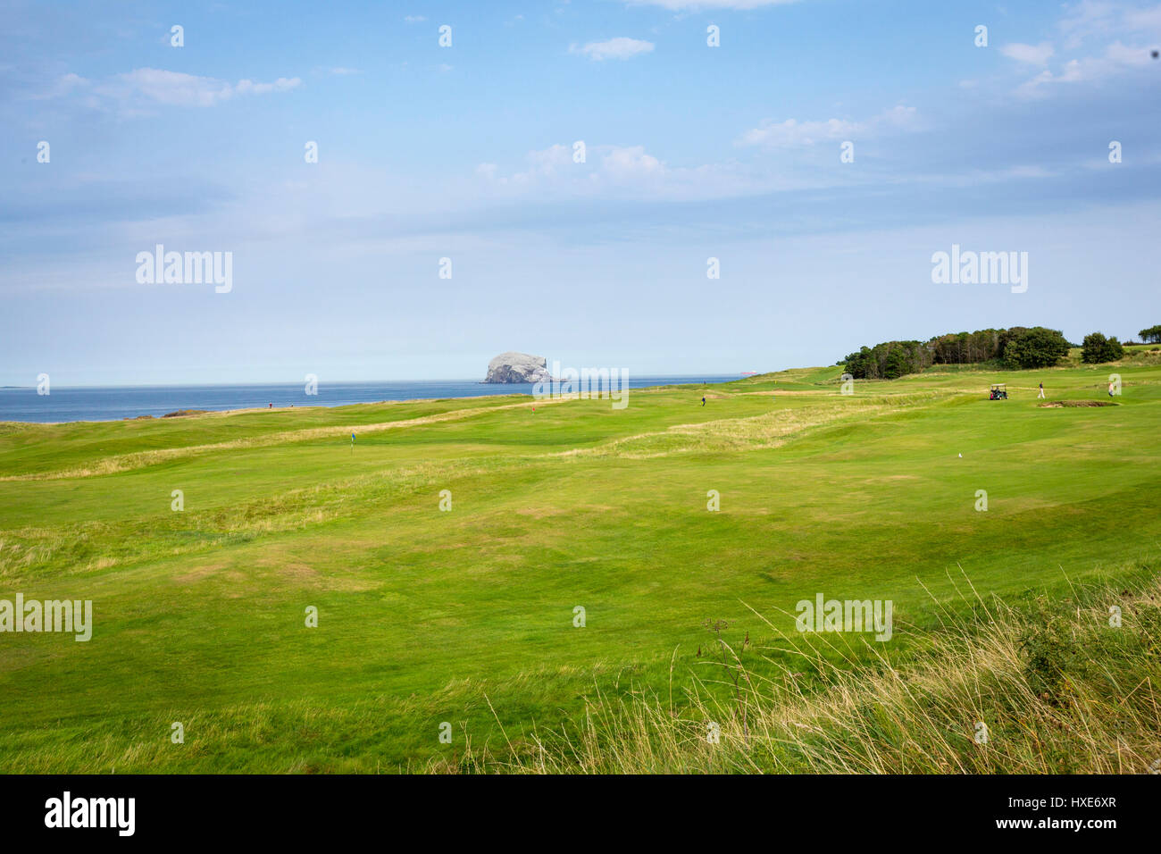 Bass Rock vom Glen Golf Course, North Berwick, East Lothian, Schottland Stockfoto