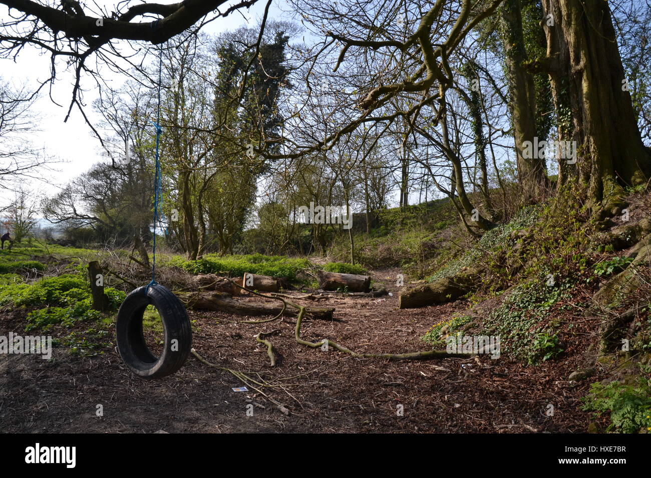 Eine Reifenschaukel bei Pyrtle Spring, ausgetrocknet, in der Nähe von Princes Risborough, Buckinghamshire, Großbritannien. Stockfoto