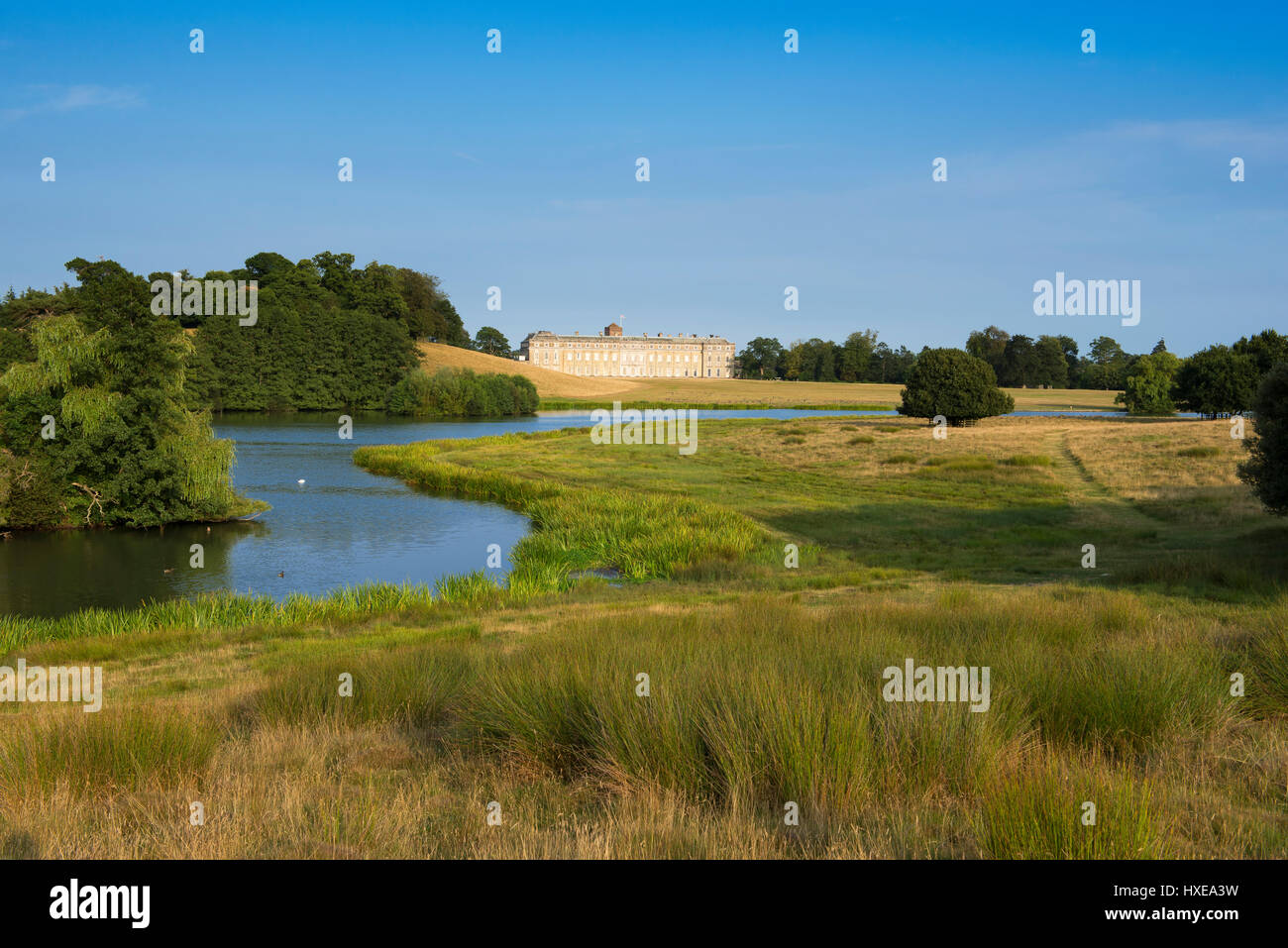 Petworth Park auf einem August Nachmittag, West Sussex, England, Großbritannien Stockfoto