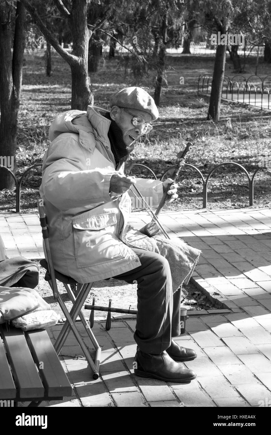 Ältere chinesische Mann spielt die zwei saitige chinesische Geige oder Erhu an einem Wintertag im Tempel des Himmels Park in Peking. Stockfoto