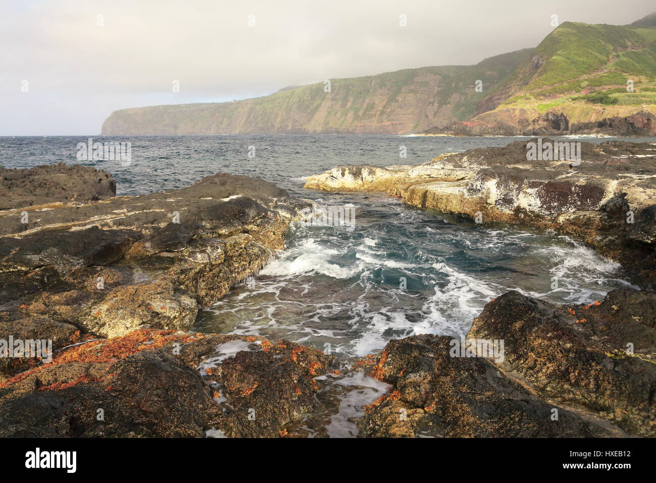 Ozean-Insel-Landschaft in Azoren, Portugal Stockfoto