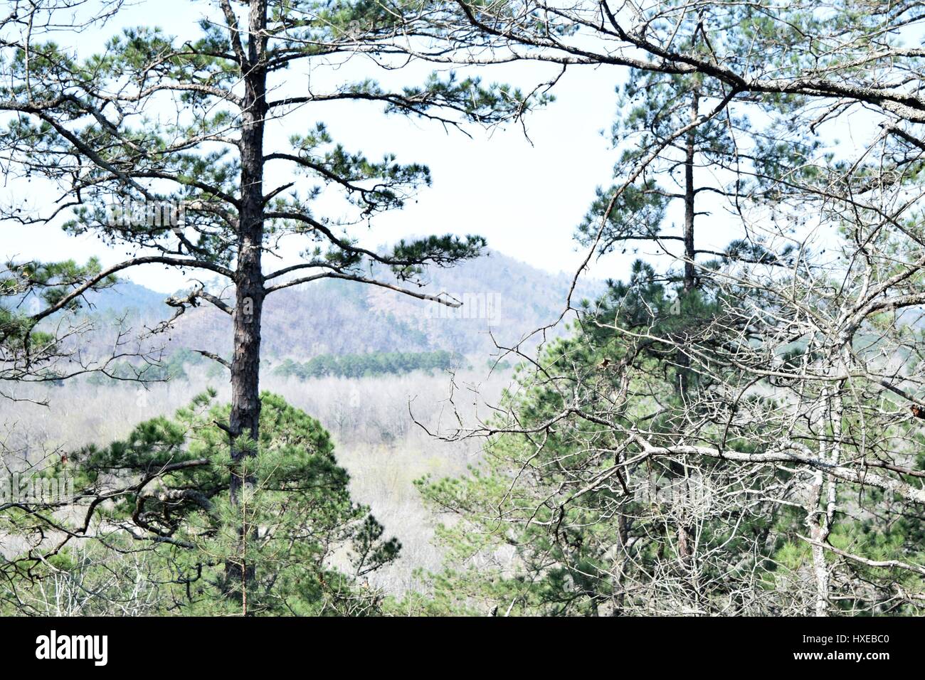 Blick vom oberen Rand einer Klippe Stockfoto