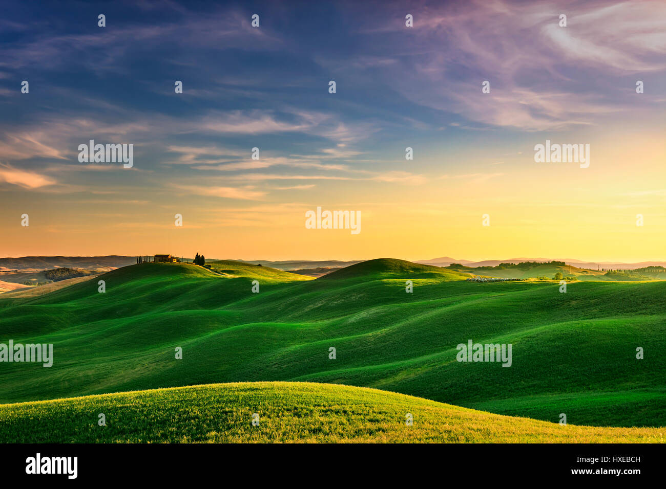 Toskana, Landschaft im Land der Crete Senesi. Rolling Hills, Landschaft Bauernhof, Zypressen Bäumen, grünen Wiese auf warmen Sonnenuntergang. Siena, Italien, Europa. Stockfoto