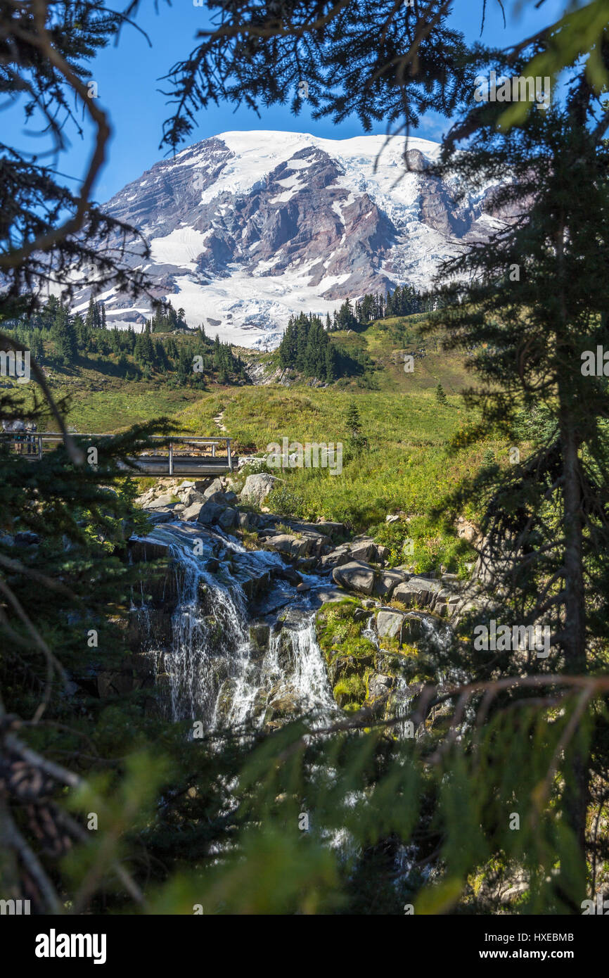 Myrtle fällt und Mount Rainier... einen kurzen Spaziergang vom Besucherzentrum am Paradies auf dem Skyline Trail.  Mount Rainier Nationalpark, Washington, USA Stockfoto