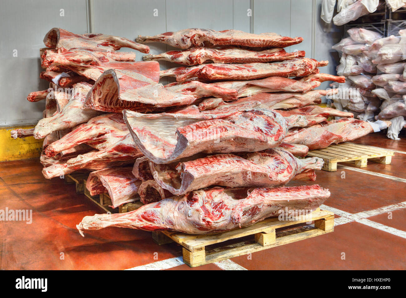 Gefrorene Rindfleisch, die Kadaver auf Paletten für die Kühllagerung gestapelt sind. Stockfoto
