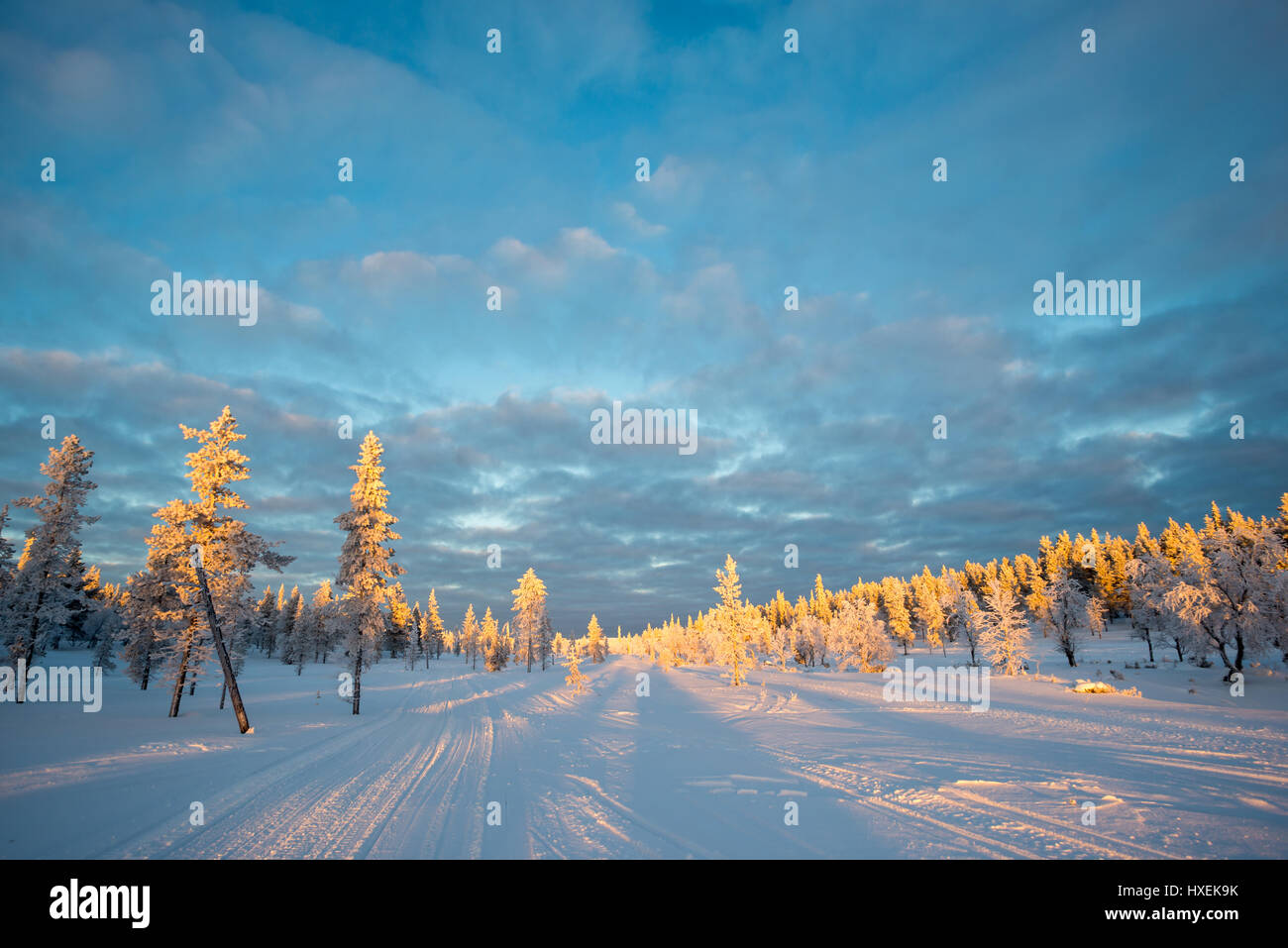 Verschneite Landschaft, gefrorene Bäume im Winter in Saariselka, Lappland, Finnland Stockfoto