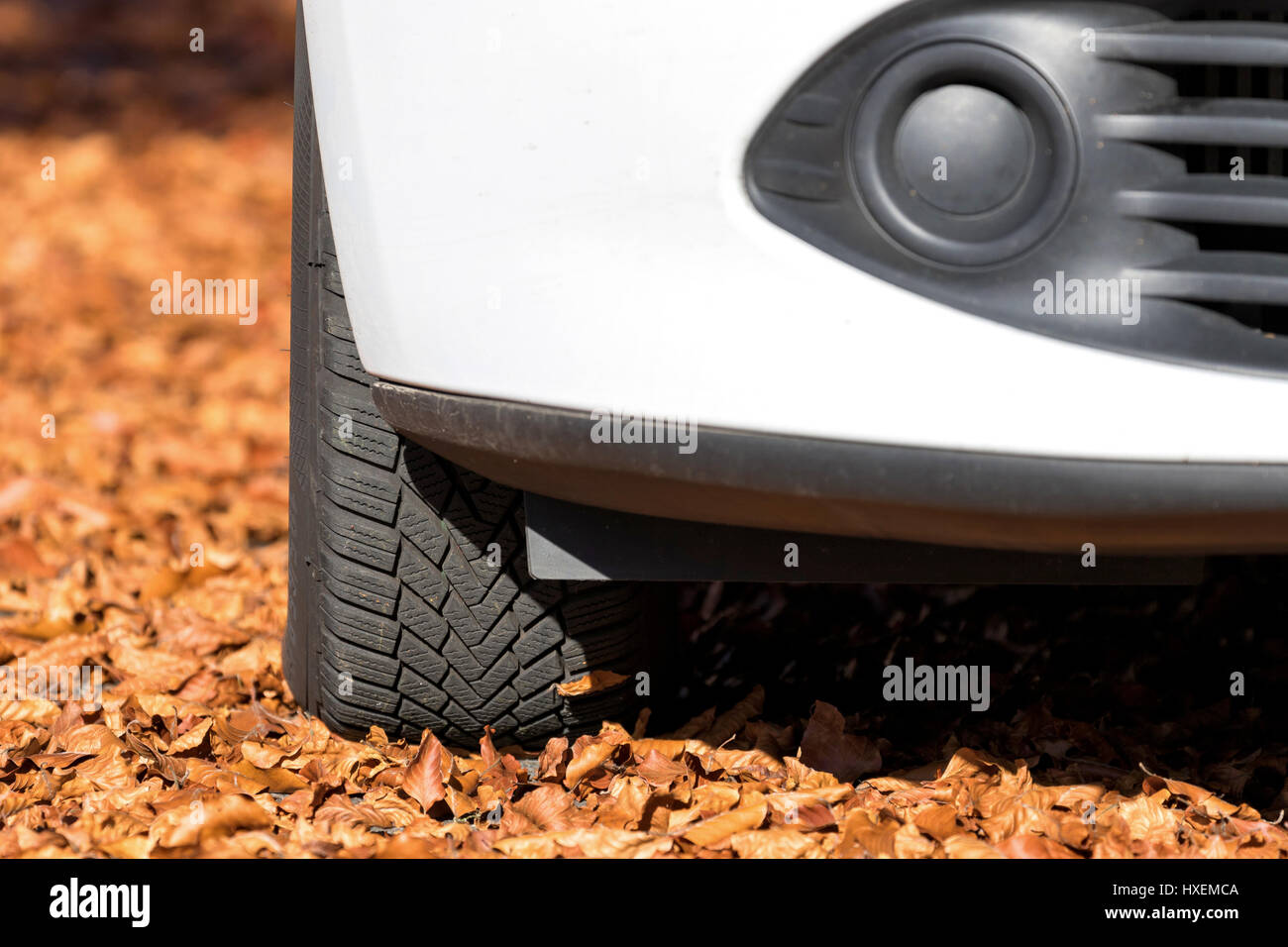 Herbstlaub auf einer Straße Stockfoto