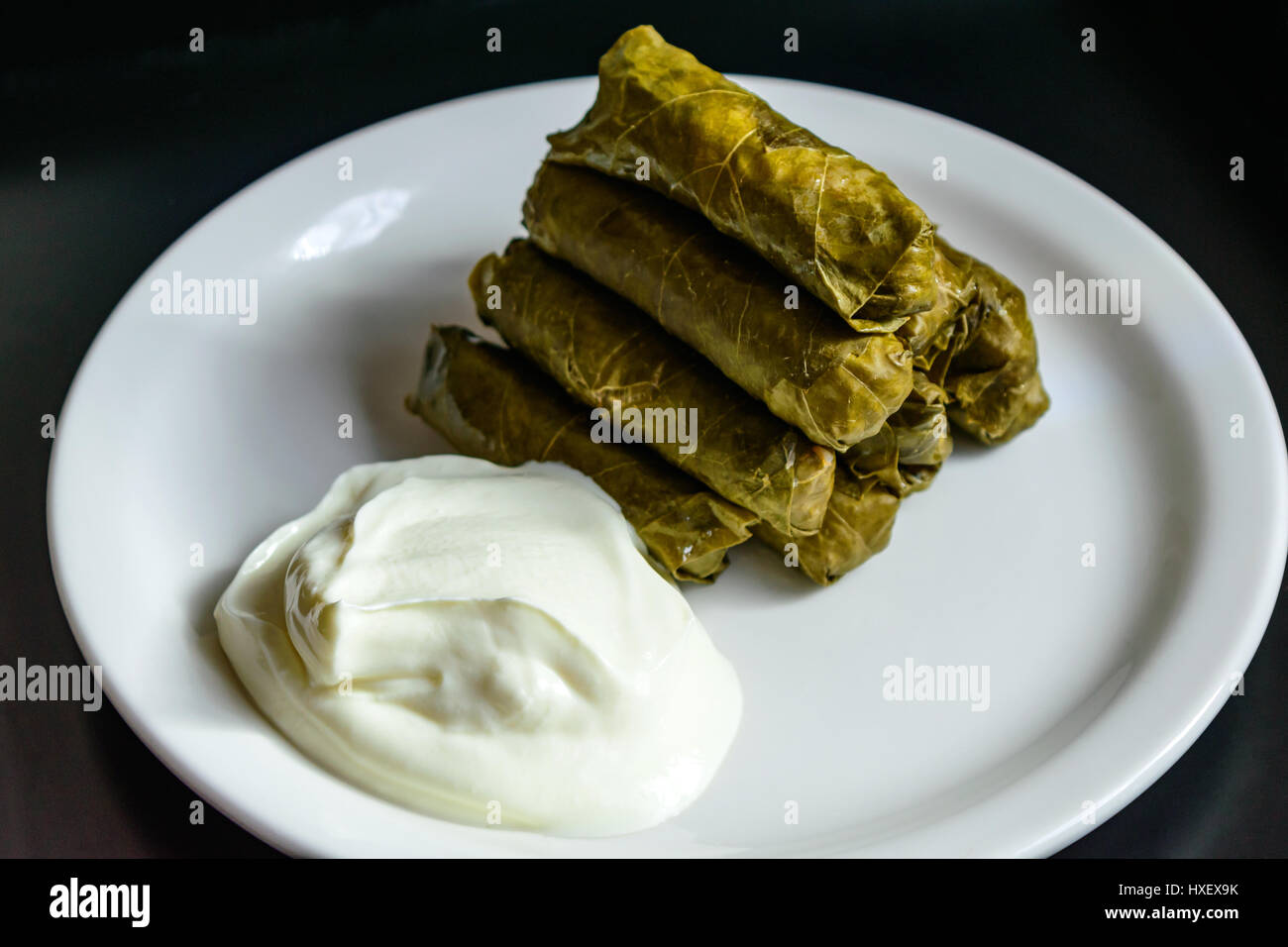 Dolma und Naturjoghurt auf weiße Platte serviert. Stockfoto