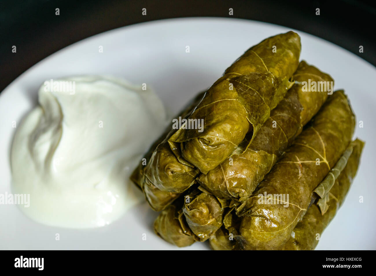 Dolma und Naturjoghurt auf weiße Platte serviert. Stockfoto