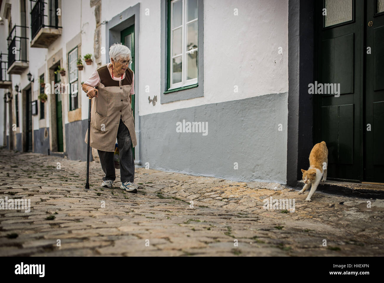 Verschlafene Begegnung von einer älteren Frau und eine Katze in Faro Stockfoto