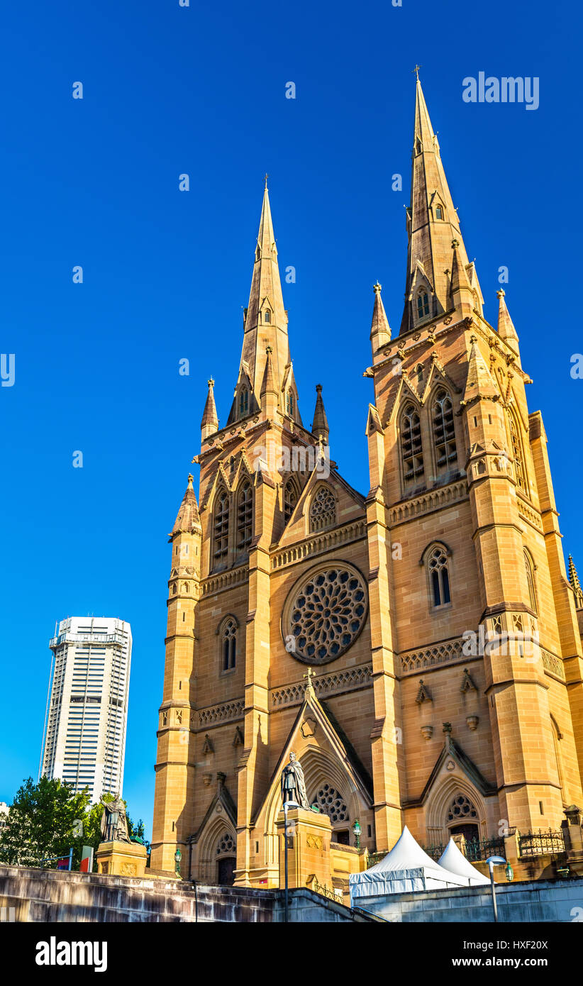 Str. Marys Kathedrale in Sydney - Australien, New South Wales Stockfoto