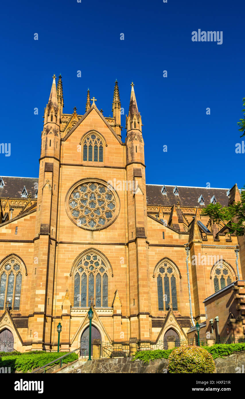 Str. Marys Kathedrale in Sydney - Australien, New South Wales Stockfoto