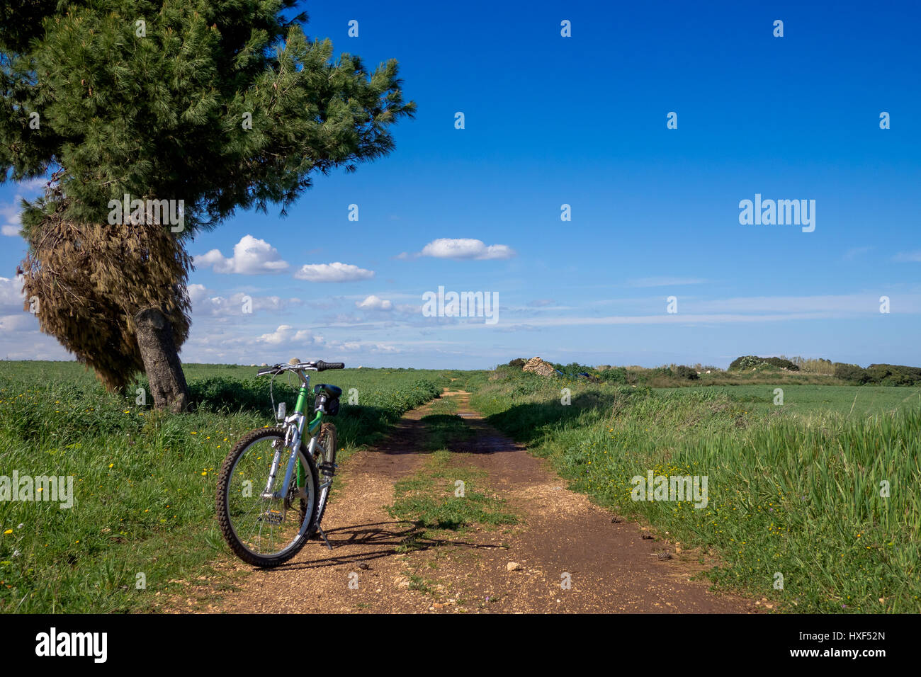 Wilde Landschaft und Fahrrad auf einem unbefestigten Weg. Apulien, Italien. Stockfoto