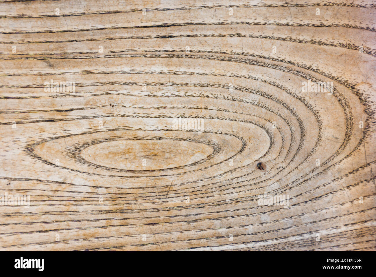 Hölzerne Oberfläche der alten Brett aus Eschenholz gefertigt. Muster von Jahresringen, Ring-porösen Holz gebildet. Radialen Querschnitt Struktur. Sichtbare Gebrauchsspuren. Stockfoto