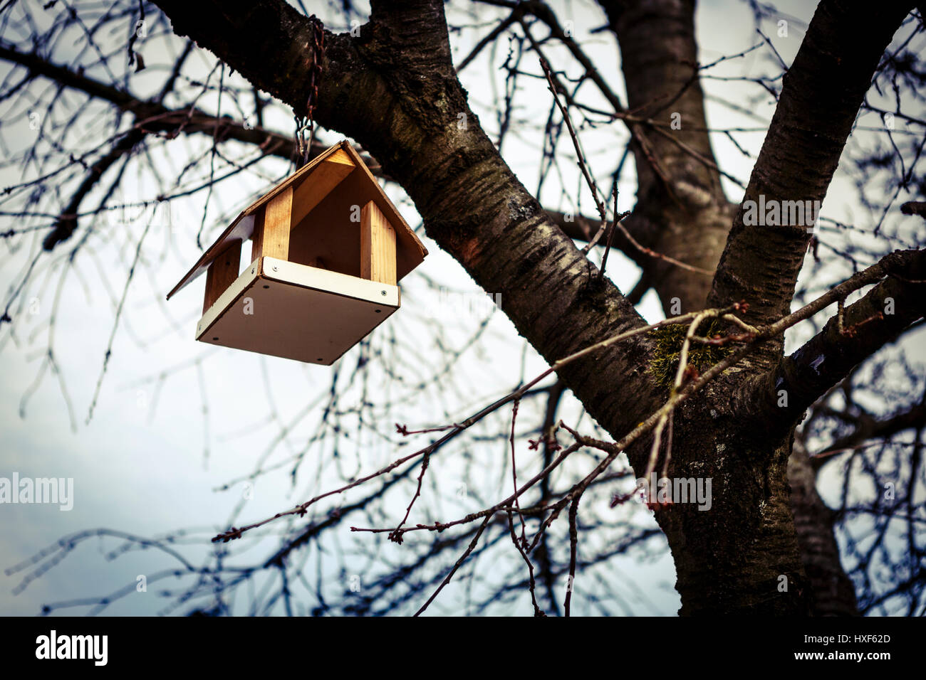 Handgefertigten Holzmöbeln Bird Feeder auf Baum Stockfoto